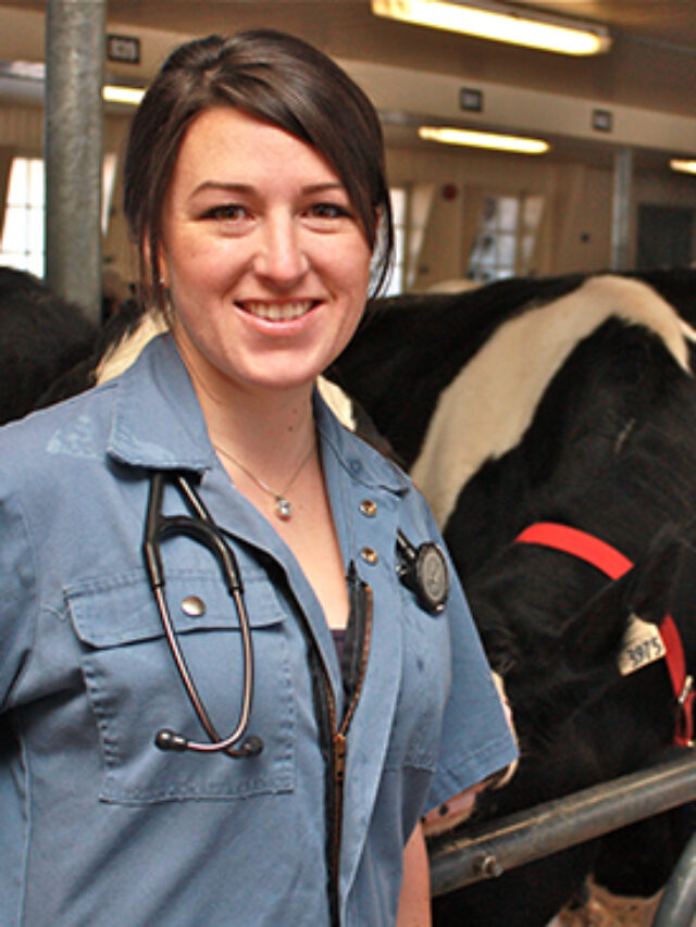 APSC Recruitment 2022 For 162 Veterinary Officer Posts