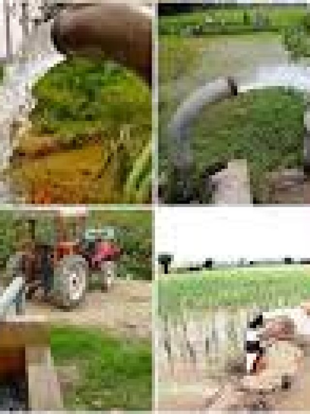 Andhra Pradesh Ground Water Department Recruitment 2022