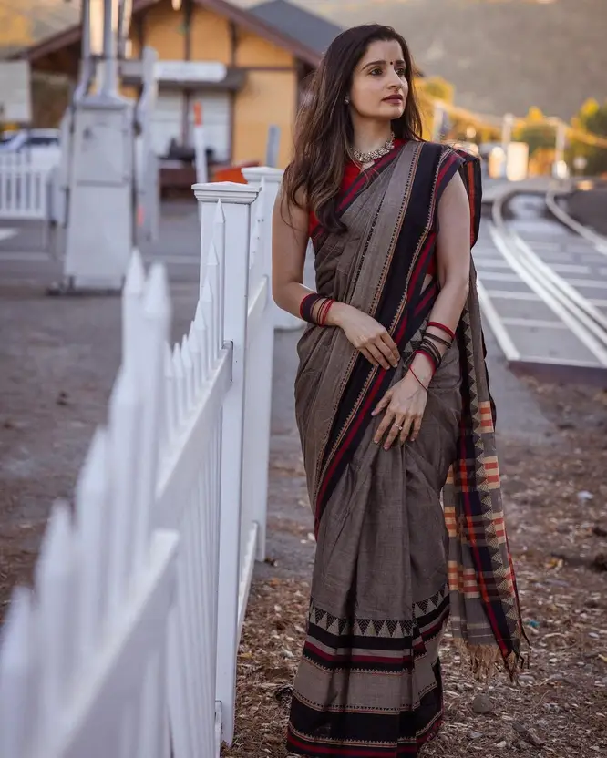 Temple Border Handloom Handloom Pure Cotton Saree  (Beige)